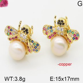 Fashion Copper Earrings  F5E300106bhia-J111