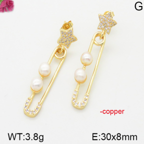 Fashion Copper Earrings  F5E300107bhia-J111