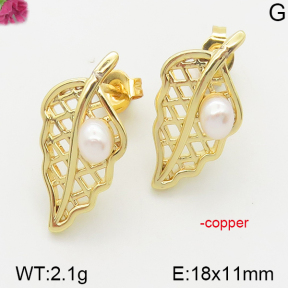 Fashion Copper Earrings  F5E300109bhva-J111