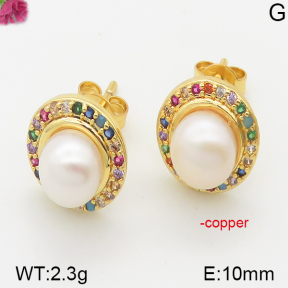 Fashion Copper Earrings  F5E300111bhia-J111