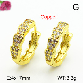 Fashion Copper Earrings  F7E400513ablb-L024