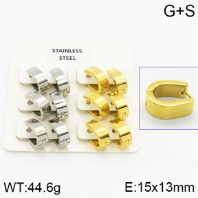Stainless Steel Earrings  2E2000665aivb-658