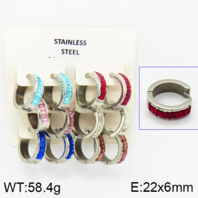 Stainless Steel Earrings  2E4000830ajlv-658