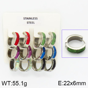 Stainless Steel Earrings  2E4000831aivb-658