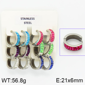 Stainless Steel Earrings  2E4000832vila-658