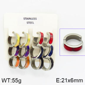 Stainless Steel Earrings  2E4000833aivb-658