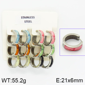Stainless Steel Earrings  2E4000834aivb-658