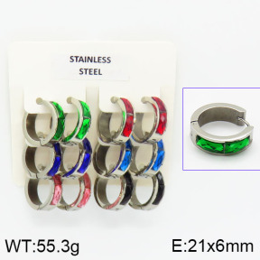 Stainless Steel Earrings  2E4000835aivb-658