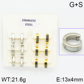 Stainless Steel Earrings  2E4000836ajvb-658