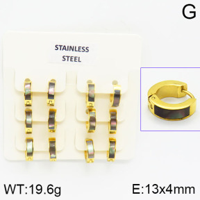 Stainless Steel Earrings  2E4000837ajlv-658
