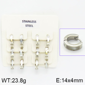 Stainless Steel Earrings  2E4000838vila-658