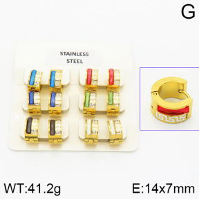 Stainless Steel Earrings  2E4000839vila-658