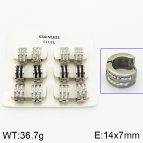 Stainless Steel Earrings  2E4000842vhov-658