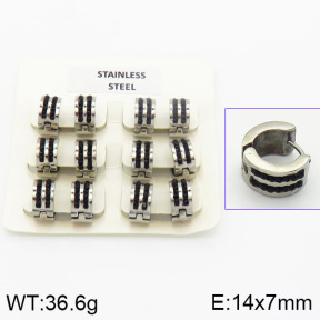 Stainless Steel Earrings  2E4000843vhov-658
