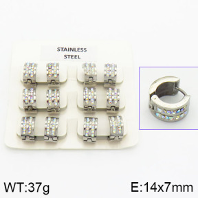 Stainless Steel Earrings  2E4000844vhov-658