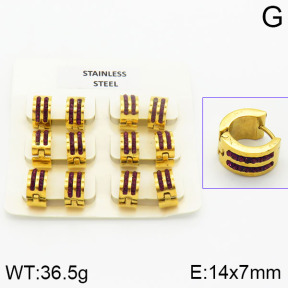 Stainless Steel Earrings  2E4000846vila-658