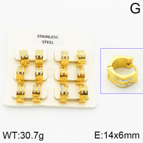Stainless Steel Earrings  2E4000848vila-658