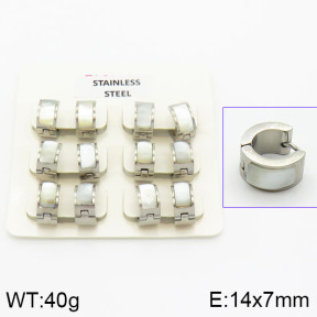 Stainless Steel Earrings  2E4000850ajvb-658
