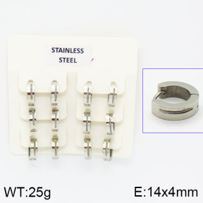Stainless Steel Earrings  2E4000851ajvb-658