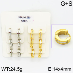 Stainless Steel Earrings  2E4000852ajvb-658
