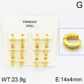 Stainless Steel Earrings  2E4000853ajlv-658