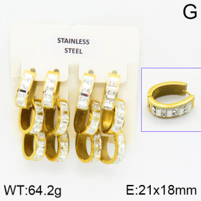 Stainless Steel Earrings  2E4000854ajlv-658