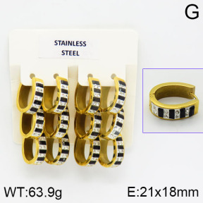 Stainless Steel Earrings  2E4000855ajlv-658
