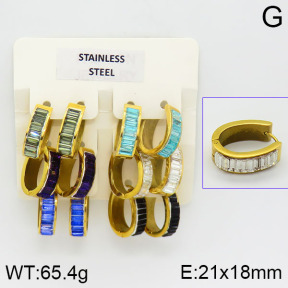 Stainless Steel Earrings  2E4000856ajlv-658