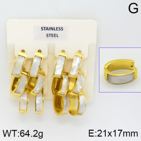 Stainless Steel Earrings  2E4000858albv-658