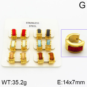 Stainless Steel Earrings  2E4000862ahlv-658