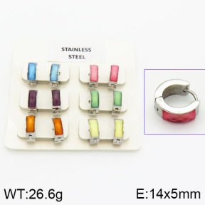 Stainless Steel Earrings  2E4000866bhia-658
