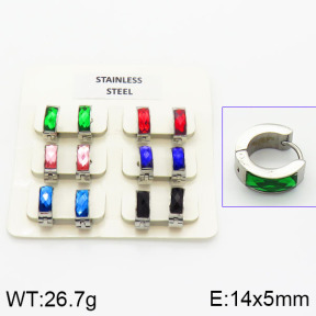 Stainless Steel Earrings  2E4000867bhia-658