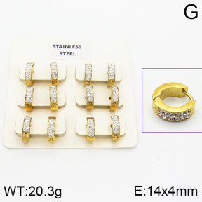 Stainless Steel Earrings  2E4000869aivb-658