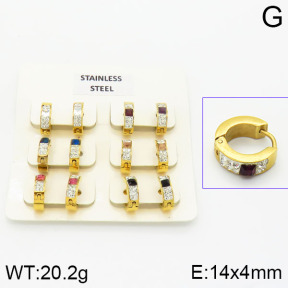 Stainless Steel Earrings  2E4000870vila-658