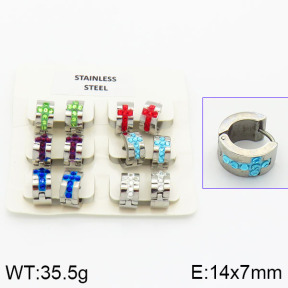 Stainless Steel Earrings  2E4000871vila-658