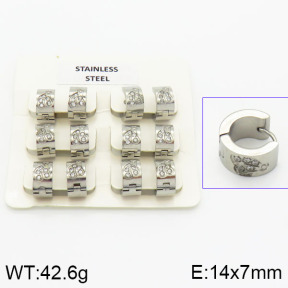 Stainless Steel Earrings  2E4000872vila-658