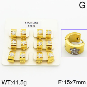 Stainless Steel Earrings  2E4000874vila-658