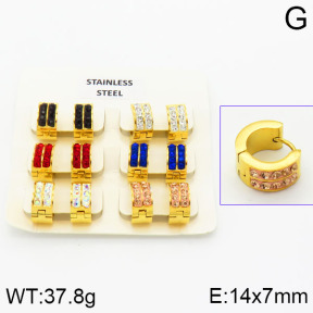 Stainless Steel Earrings  2E4000877aiov-658