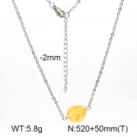 Agate  Stainless Steel Necklace  7N4000364vbmb-908