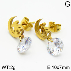 SS Earrings  TE2000148vaia-420