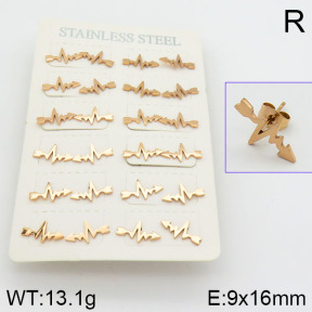 Stainless Steel Earrings  2E2000679bokb-722