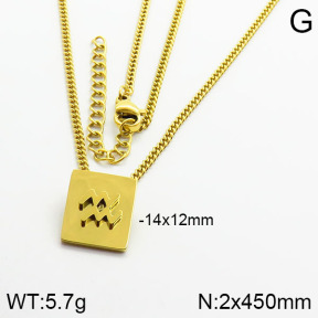 Stainless Steel Necklace  2N2000755vbll-679