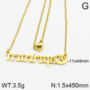 Stainless Steel Necklace  2N2000780ablb-679