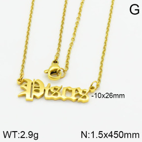 Stainless Steel Necklace  2N2000786ablb-679