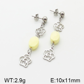Stainless Steel Earrings  5E4000866vbnl-350