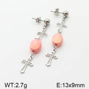 Stainless Steel Earrings  5E4000867vbnl-350