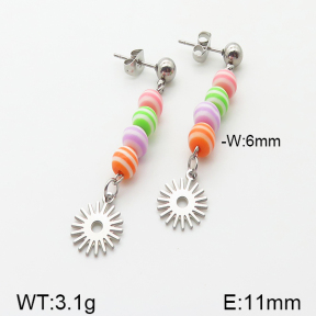 Stainless Steel Earrings  5E4000869vbnb-350