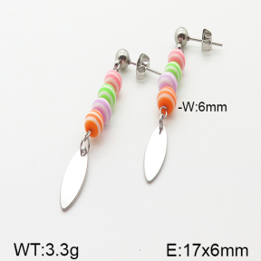 Stainless Steel Earrings  5E4000870vbnb-350