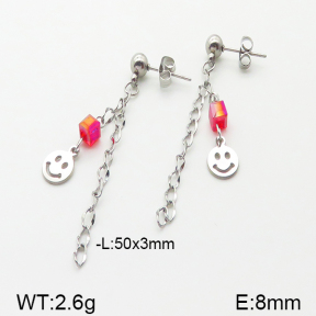 Stainless Steel Earrings  5E4000871vbnb-350