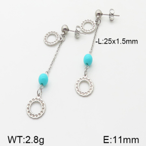 Stainless Steel Earrings  5E4000872vbnl-350